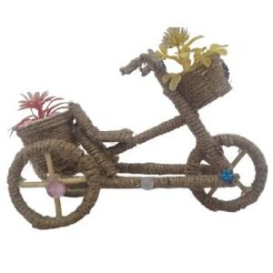 JSS-Madhya-Pradesh-Indore-Bamboo-Cycle-2-website